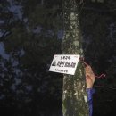 정선초교가수분교 이미지