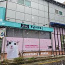 츄냥이 하우스 이미지