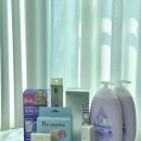파인글로스 | 아이섀도우 노노어 립펜슬 투크 시럽틴트 라카 퍼펙트 트윈 립 데이지크 섀도우 발색 질감 이것저것 후기