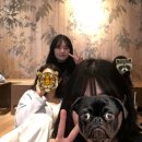 정앤영 이미지