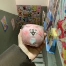 사리축사 | 2025.12月-가장 좋아하는 달