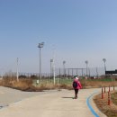 내포 시민2공원 Daum카페