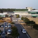 모다들엉 이미지