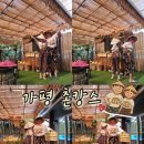 블루문 | 가평 촌캉스 숙소 블루문펜션 야자수그늘 내돈내산 솔직후기