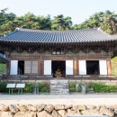 311 Daum카페