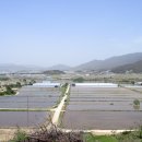 운봉의뜰 이미지