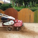 목행초교 병설유치원 이미지