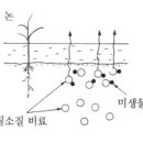 날개 달고 도망가는 질소질 비료 이미지