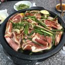 낭낭오리집 티스토리