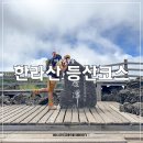 4공단로1L-34 | 제주도 한라산 등산코스 관음사 등산, 성판악 하산 대중교통 후기 국립공원 탐방예약