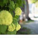 봉화1길 이미지