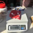 여주오곡나루축제 | 여주오곡나루축제 다녀온 후기 1편(이벤트부스꿀팁공유)