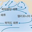 일본 원전 오염수 방류의 국제정치적 의미, 미국과 일본의 오판 이미지