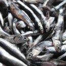 기장수산업협동조합 이미지