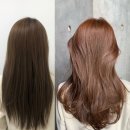 라벤더에쉬