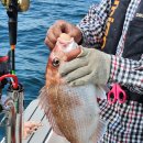 욕지도하늘펜션 이미지