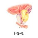 드림온비뇨의학과의원 이미지