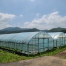 주미 농장 이미지