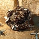 팔도농장 이미지