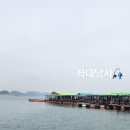 돌고래 좌대낚시 네이버블로그