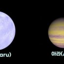 마루아라 이미지