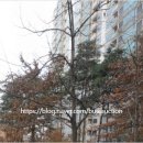 동부센트레빌 앞 도로 이미지