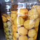 매실농장 이미지