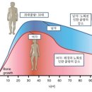 기구필라테스혜요