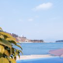 달링하버 펜션 이미지