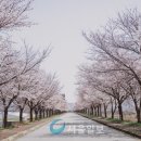 도림로 이미지