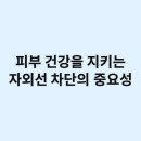피부.건강#