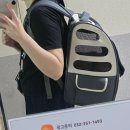 오태동물병원