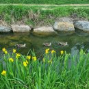 경기도 수원시 권선구 경수대로191번길 이미지