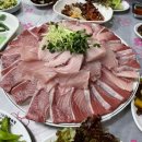 광복호 티스토리