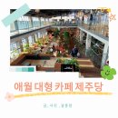새별농장 | [2503 제주] 새별 오름 근처 애월 대형카페 제주당 내돈내산 후기