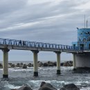 천부해중전망대 | 울릉도 아이와 가볼만한 곳! 천부해중전망대 솔직후기 바닷속 생태계가 바로 눈앞에!