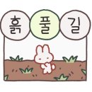 월투월방탈출