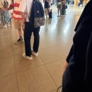 바오바오 | 후쿠오카 한큐백화점.바오바오 위치 오픈런후기..공항도 방문