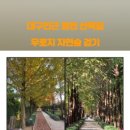 우로지 자연숲 공원(메타세쿼이아길) 이미지