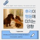 안양김준동물병원 | 후각은 단순한 ‘냄새 맡는 기관’이 아닙니다_수원 장안구 동물병원[안양김준동물병원]