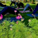 우리동네 협동조합 이미지