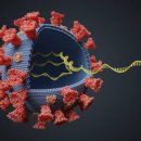 바이러스 이미지