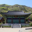 사나사 - 1160 | 사나사
