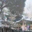 벌교읍사무소 이미지