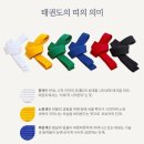 보라태권도 이미지
