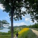 구월문화어린이공원 공원화장실 | 경남 함양 악양 생태공원 금계국 개화 상황. 주차 정보. 방문 후기. 함안 핫플.