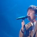초심 - 홍천군 | 초심