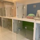 퍼피루스 이미지