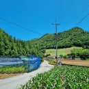 안의리마을회관 | [BAC100대 명산] 삼척 덕항산 예수원출발 최단 코스