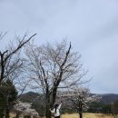 전주샹그릴라컨트리클럽 | 전주 샹그릴라cc 주말 라운딩 후기